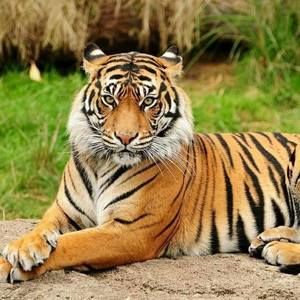 Meet your Posher, Getulio